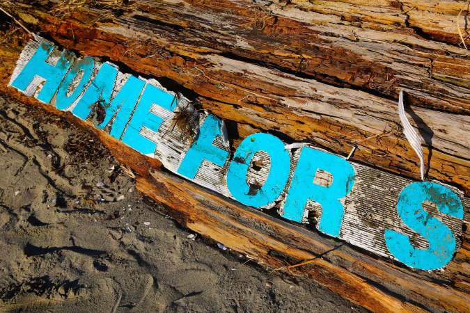 Beached Sign, Tattered By the Sea © Liesl Clark